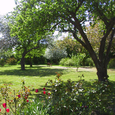 5-dages stilhedsretreat i Maribo