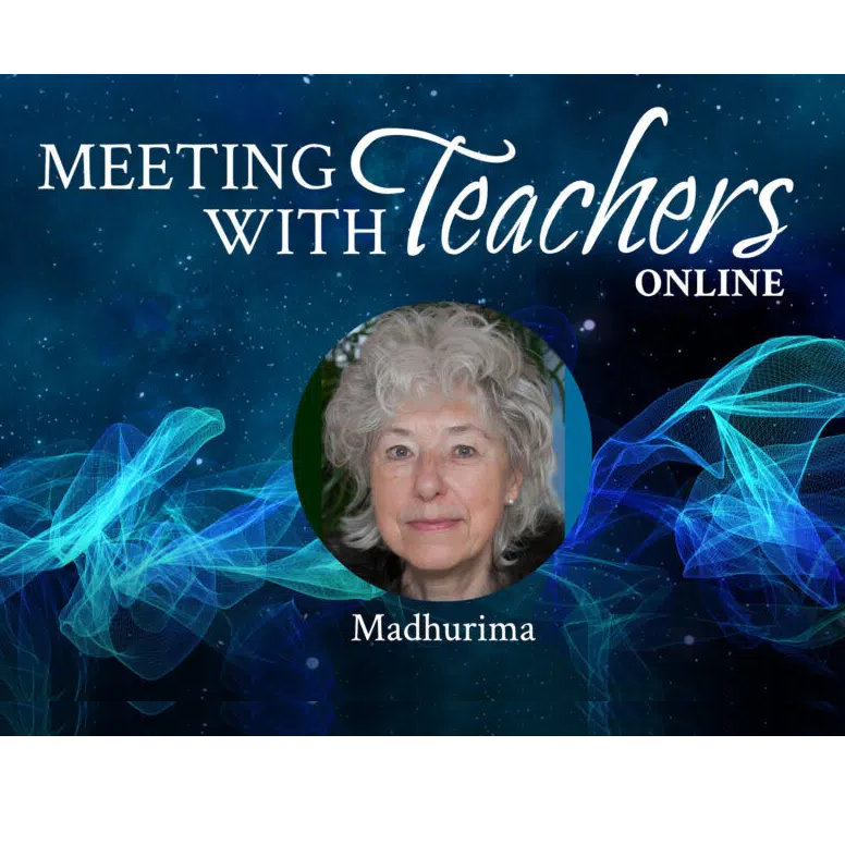 ’Meeting with Teachers Online’ den 20. september