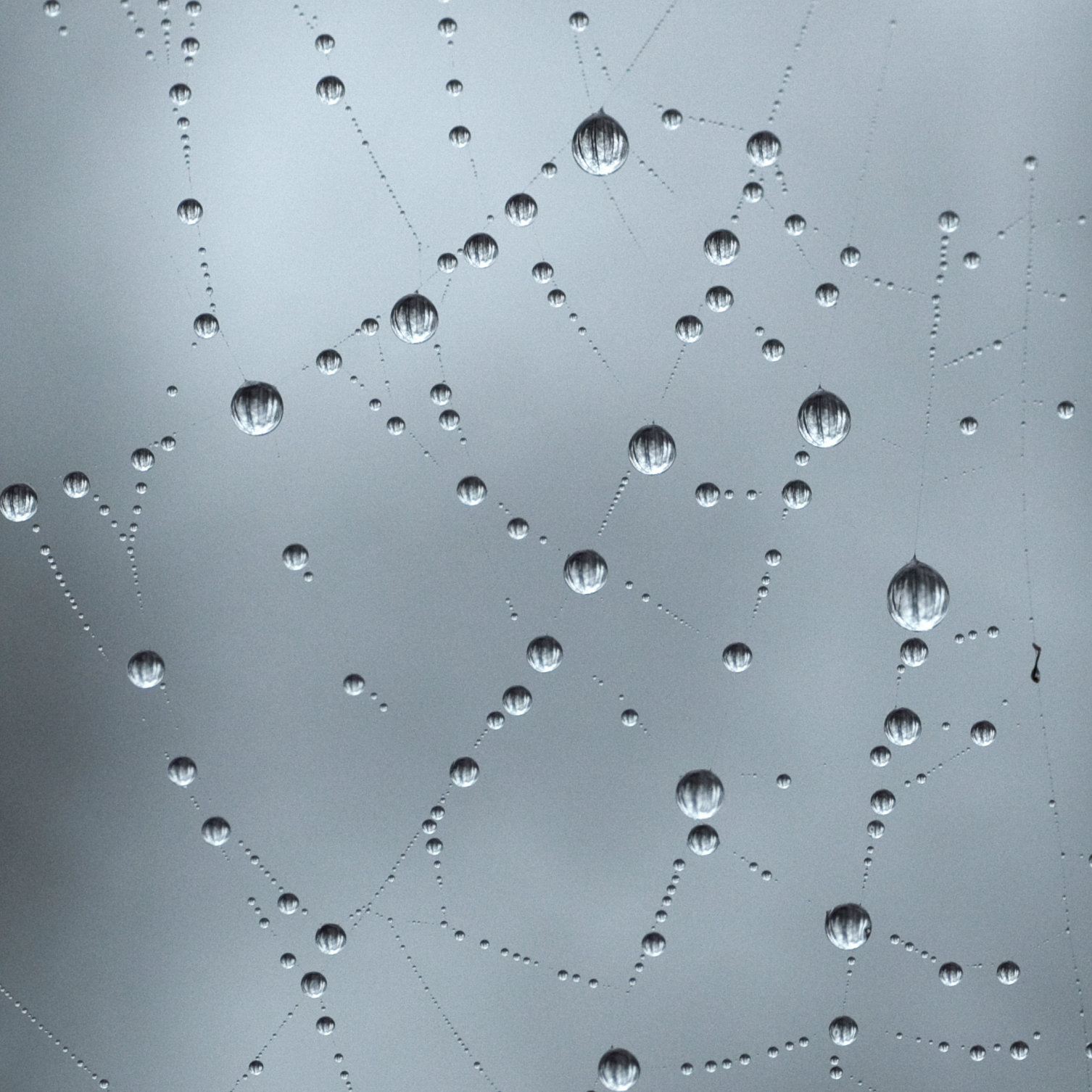 Webinar aften 17. maj 2026